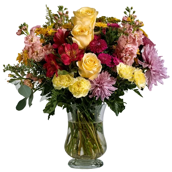 Rosy Daybreak Blooms