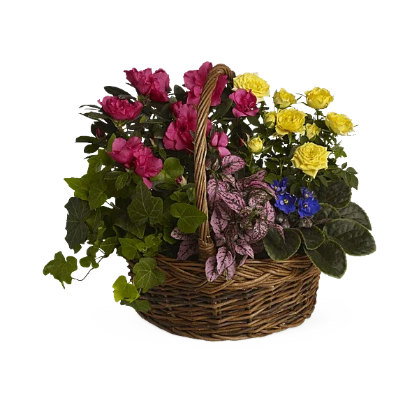 Blooming Garden Basket