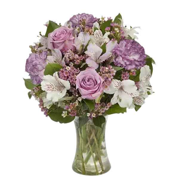 Lavender & White Brilliance