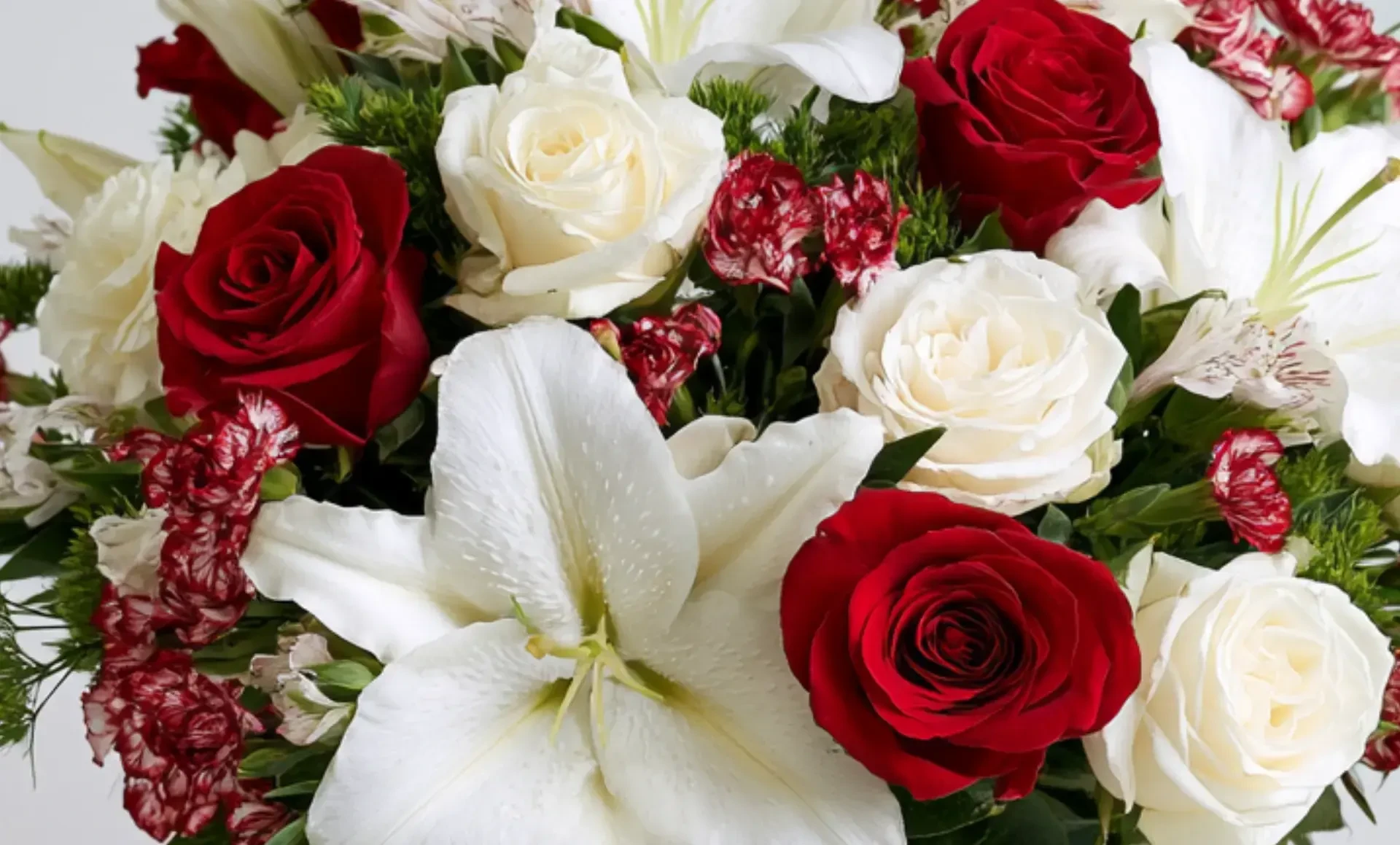 Roses